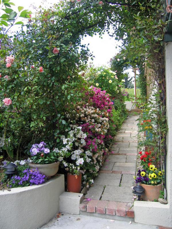 Mcauley Glen Boutique B&B Portobello Ngoại thất bức ảnh
